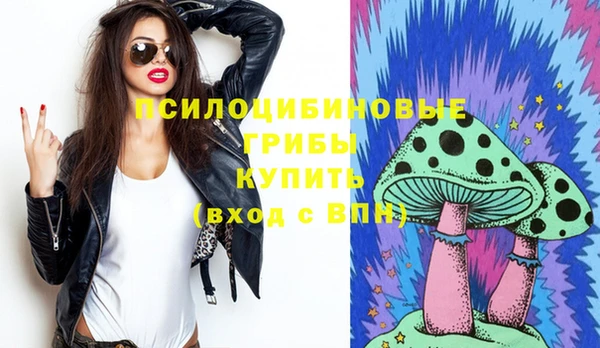 скорость Дмитриев