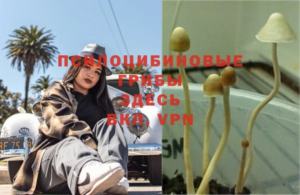 mdma Дмитров